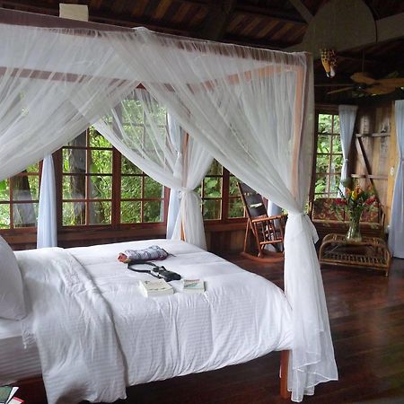 Rio Magnolia Nature Lodge Tinamaste エクステリア 写真