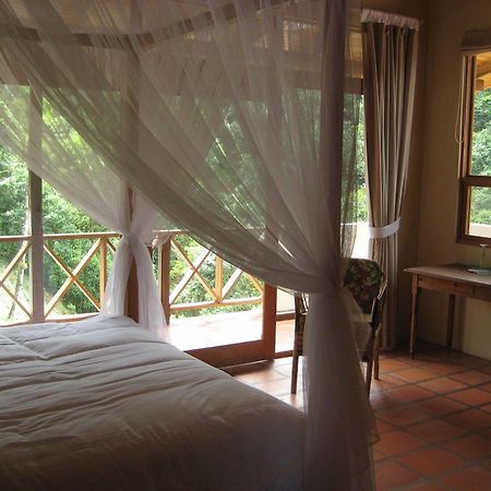 Rio Magnolia Nature Lodge Tinamaste エクステリア 写真